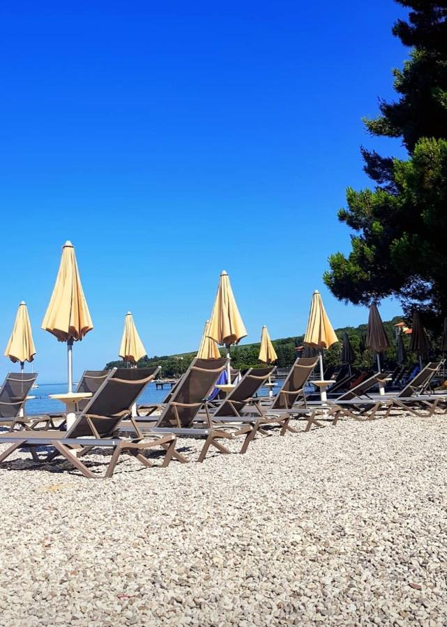 Vila Ines Zgornje Skofije Esterno foto