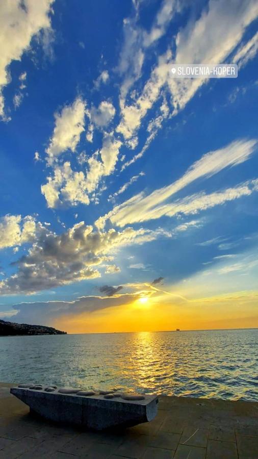 Vila Ines Zgornje Skofije Esterno foto