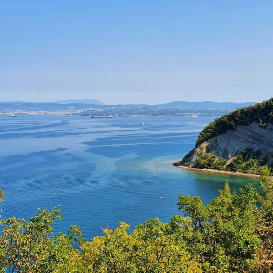 Vila Ines Zgornje Skofije Esterno foto
